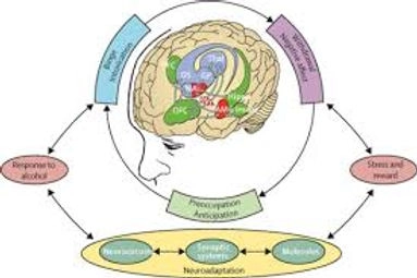 What is the addiction cycle?